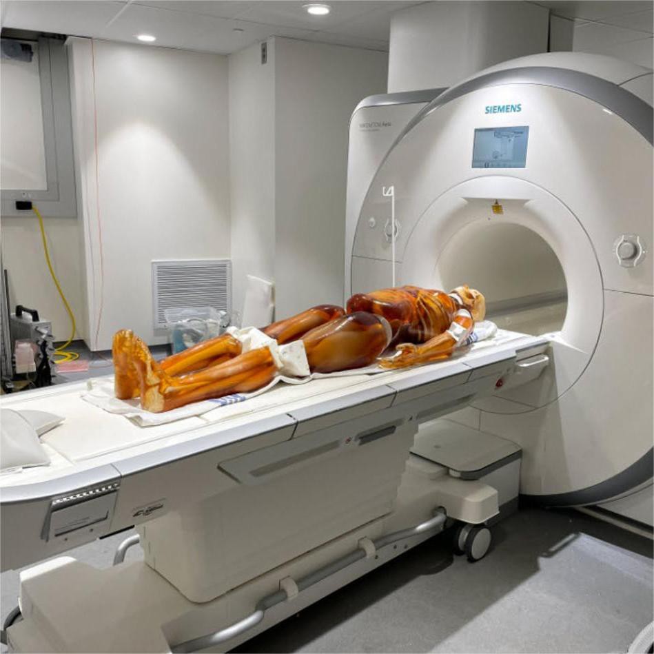 Optical scanning and imaging equipment Optical scanning and imaging equipment